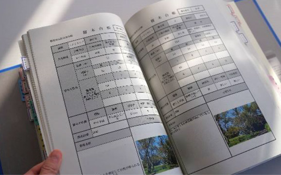 樹木醫生逐株調查櫻花樹的紀錄