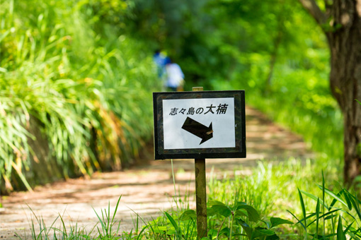 島上景點的指示牌