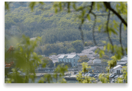 島のシンボル的な青い建物