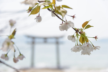 馬城八幡神社 イメージ