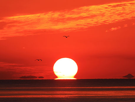 An omega sunset at Chichibugahama Beach. The entire sky is dyed red and the shilouette of birds is visible in the sky.