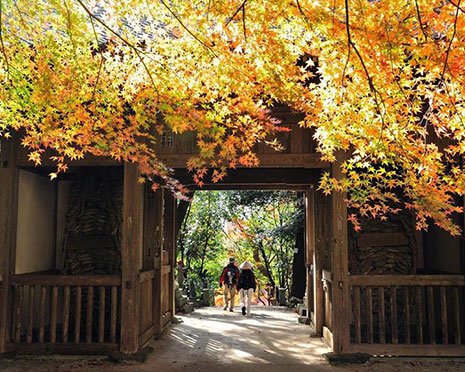 Iyadaniji Temple