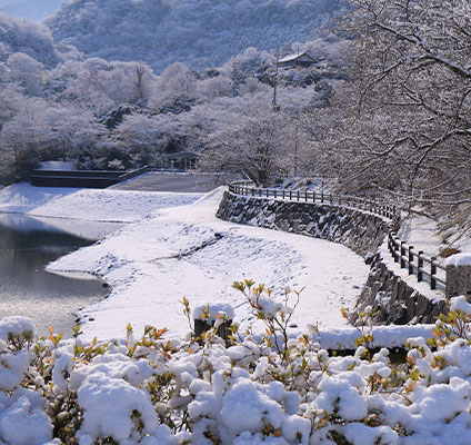 About an inch of snow on the shores of Togawa Dam. The water does not appear to be frozen and small leaves are visible on a bush beheath the snow.