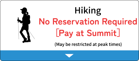 No Reservation Required