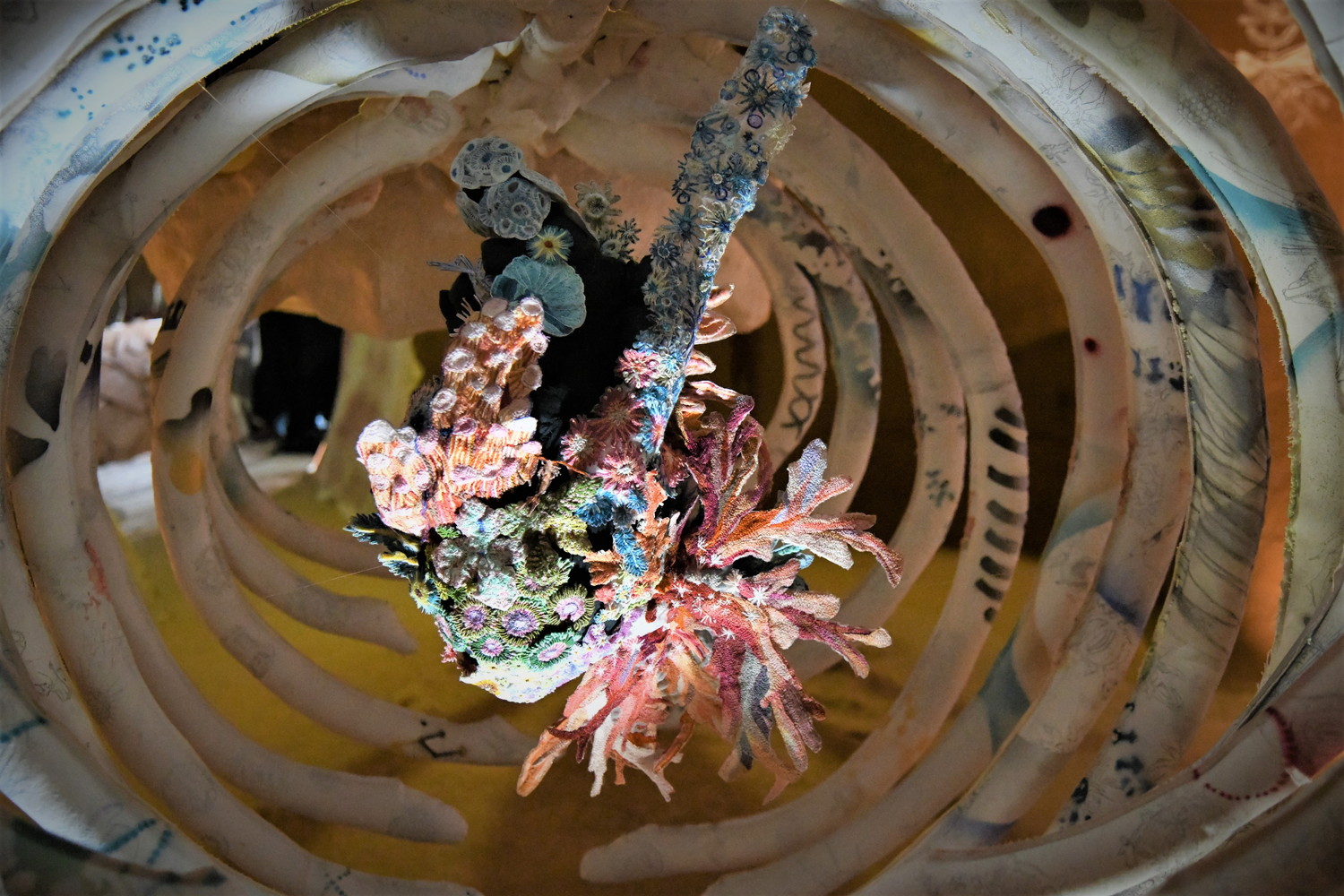 closeup of the whale's heart from The Story of a Whale Being Reborn as Oxygen