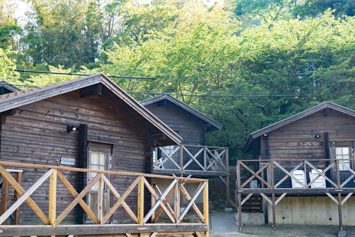 Three wooden cabins slightly elevated off the ground are clustered in front of a wooded area.