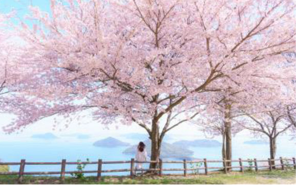 Secondary Parking Lot<br />
Our most popular spot to enjoy the islands of Setouchi<br />
(Wheelchair accessible)