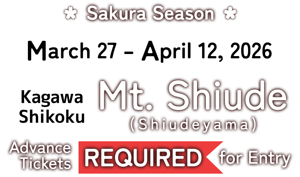桜シーズン交通規制