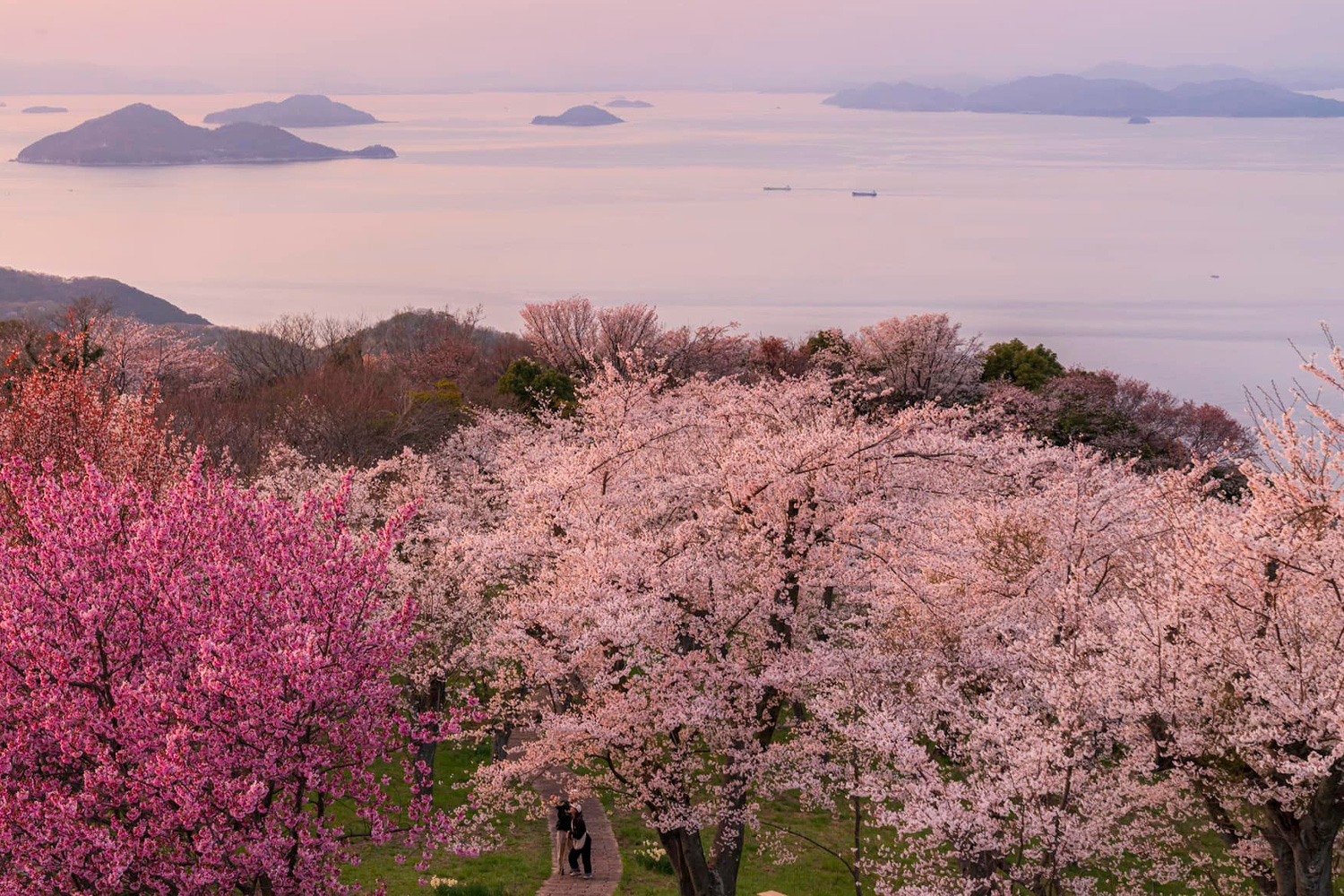 View from the Summit Observation Deck (2023)