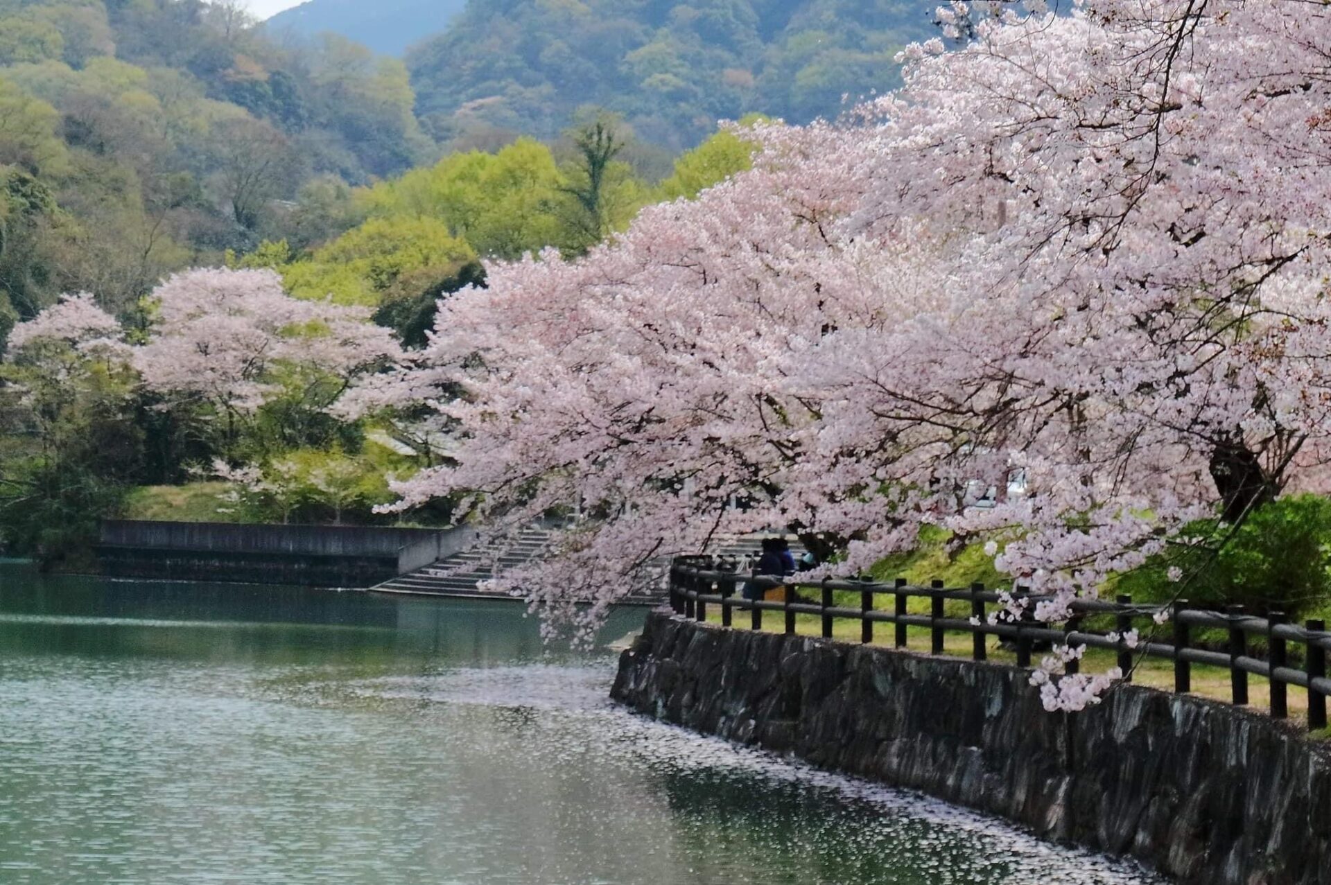 Togawa Dam