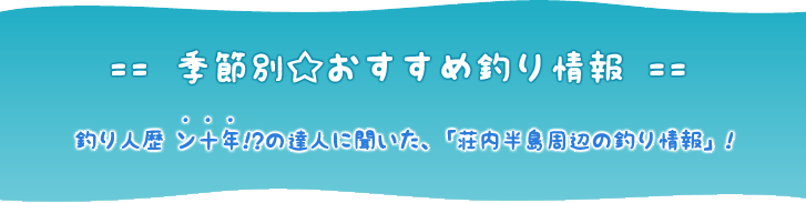 季節別☆おすすめ釣り情報