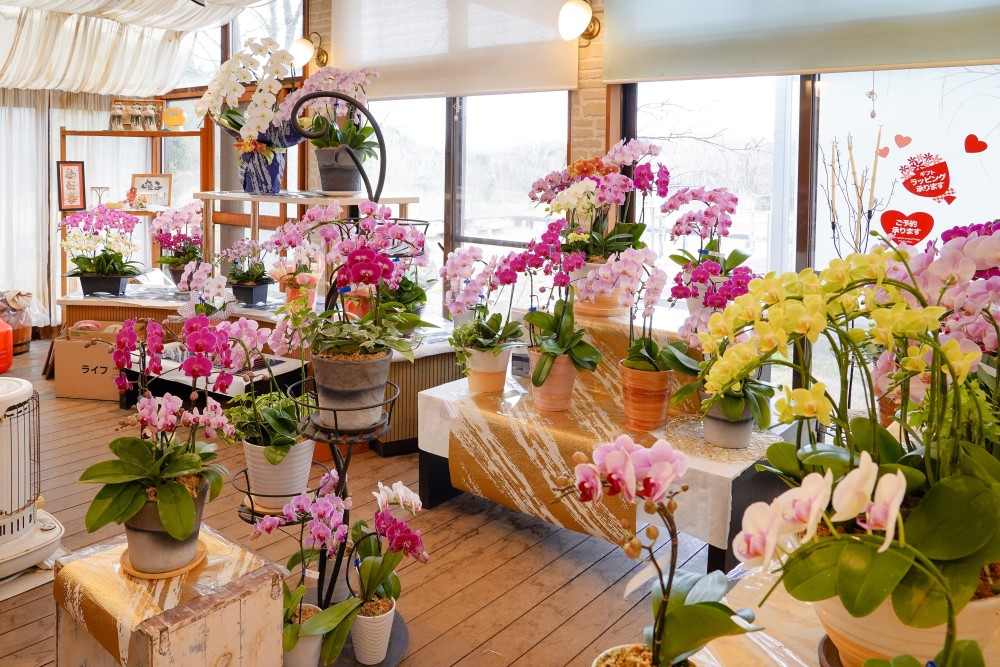 蘭ズ ガーデン 三豊市観光交流局