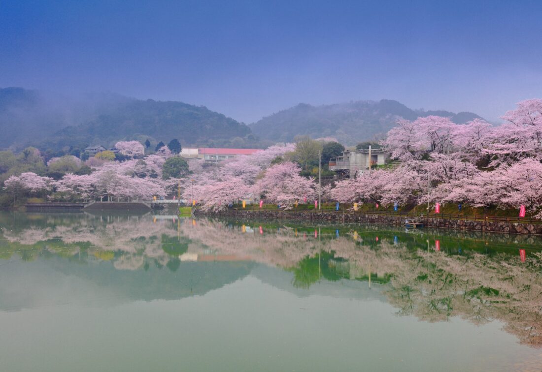 戸川ダム公園 | 三豊市観光交流局