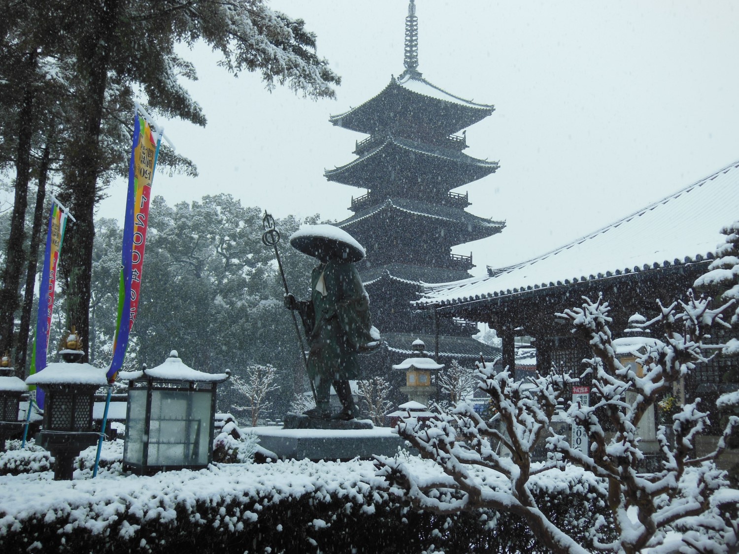 ソース画像を表示