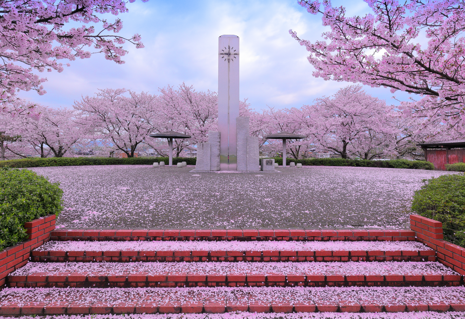 水辺公園 三豊市観光交流局