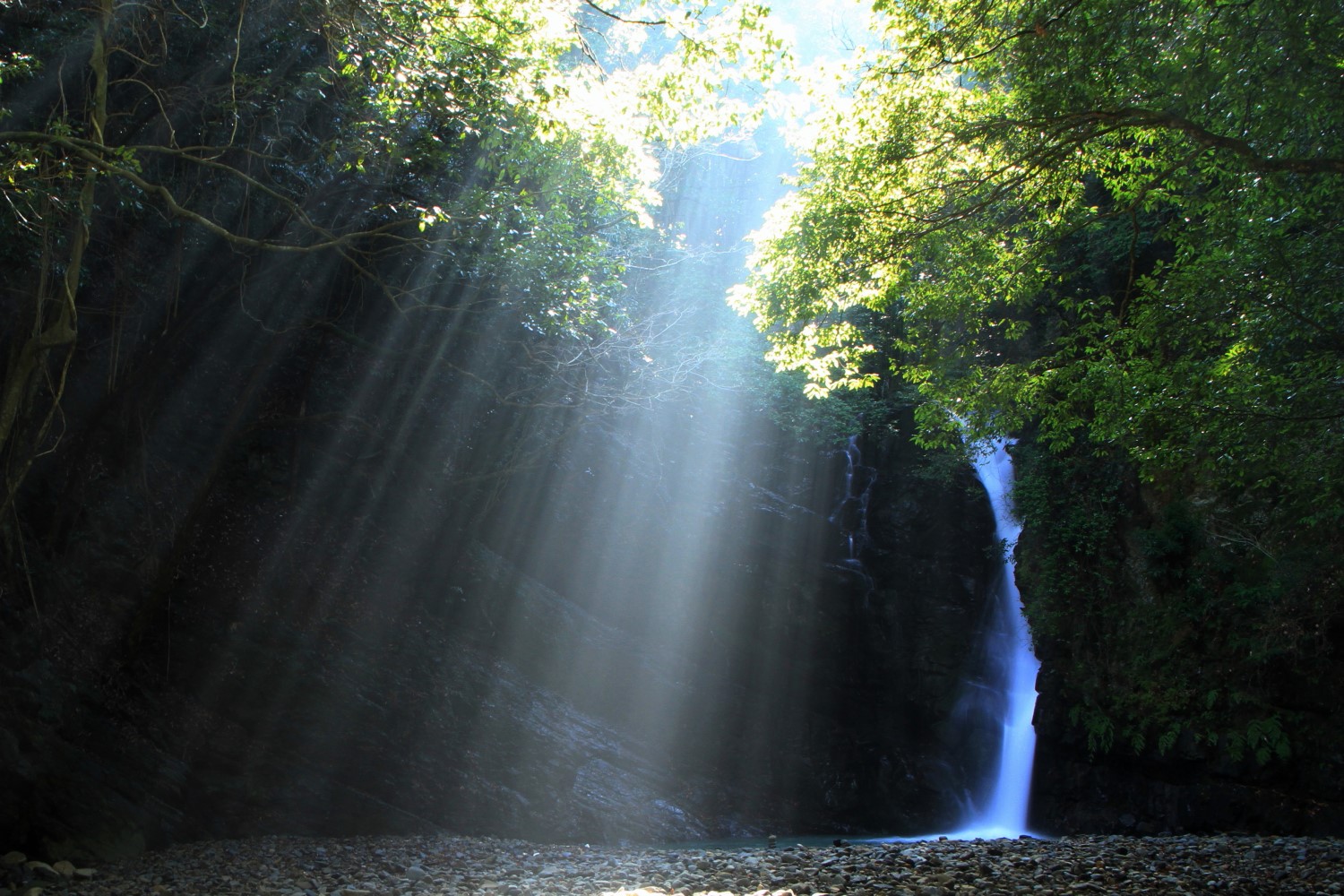 鮎返りの滝 三豊市観光交流局 鮎返りの滝 三豊市観光交流局