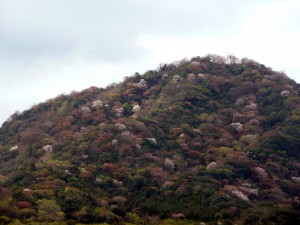 紫雲出山