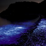 海ほたる
