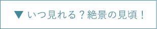 いつ見れる？絶景の見頃！