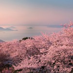 瀬戸の夕映