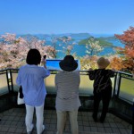 2017sakura-excellent03