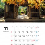 11月