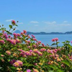 21077417_1546274428764903_4986290436929999362_n