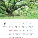 2月