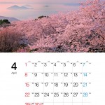 4月