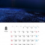 8月
