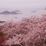 2017hanatoshima-fine03