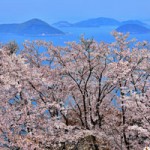 2017hanatoshima-fine04