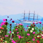 2017hanatoshima-fine05