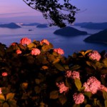 2017hanatoshima-fine06