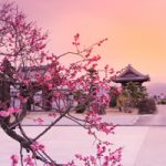2018akifuyu-fine01