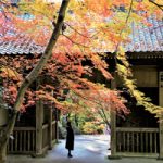 2018akifuyu-fine04