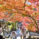 2018akifuyu-fine06