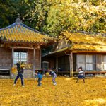 2018akifuyu-fine08