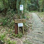 shiyoyama07