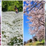 springphotocontest