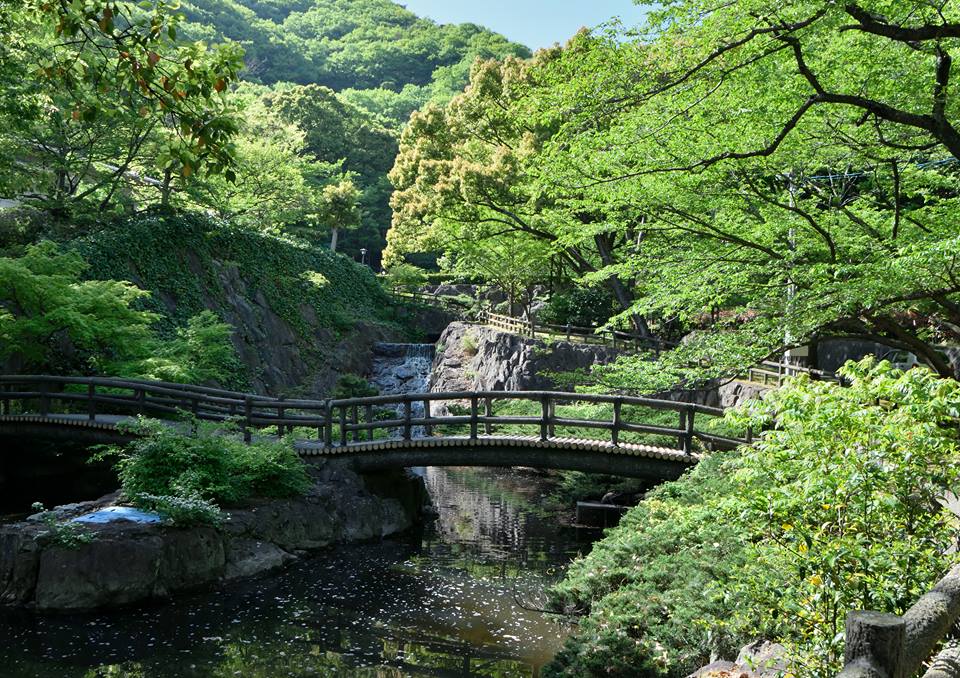 「新緑のやすらぎ」立川　宗一朗（岡山市）