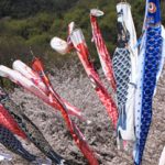 photocon_recruit_2011_01