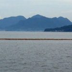粟島浮遊ゴミ