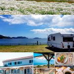 浦島オートキャンプ場