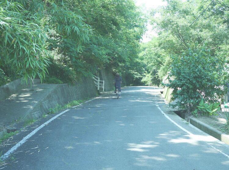 森 光恵 （三豊市） 「平成最後の夏 in 粟島」