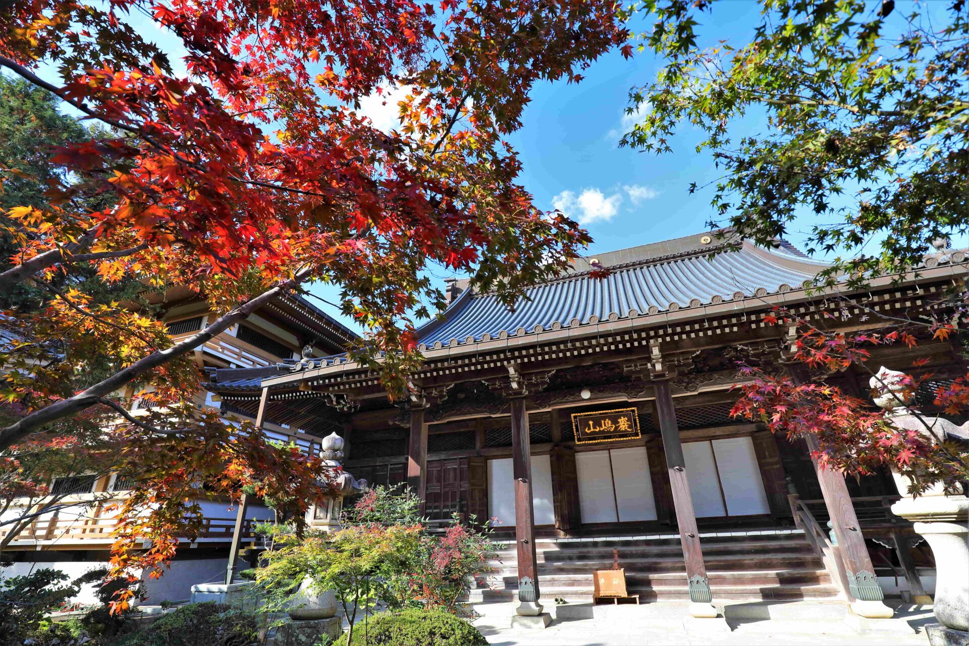 八木義樹（観音寺市）「秋めく境内」