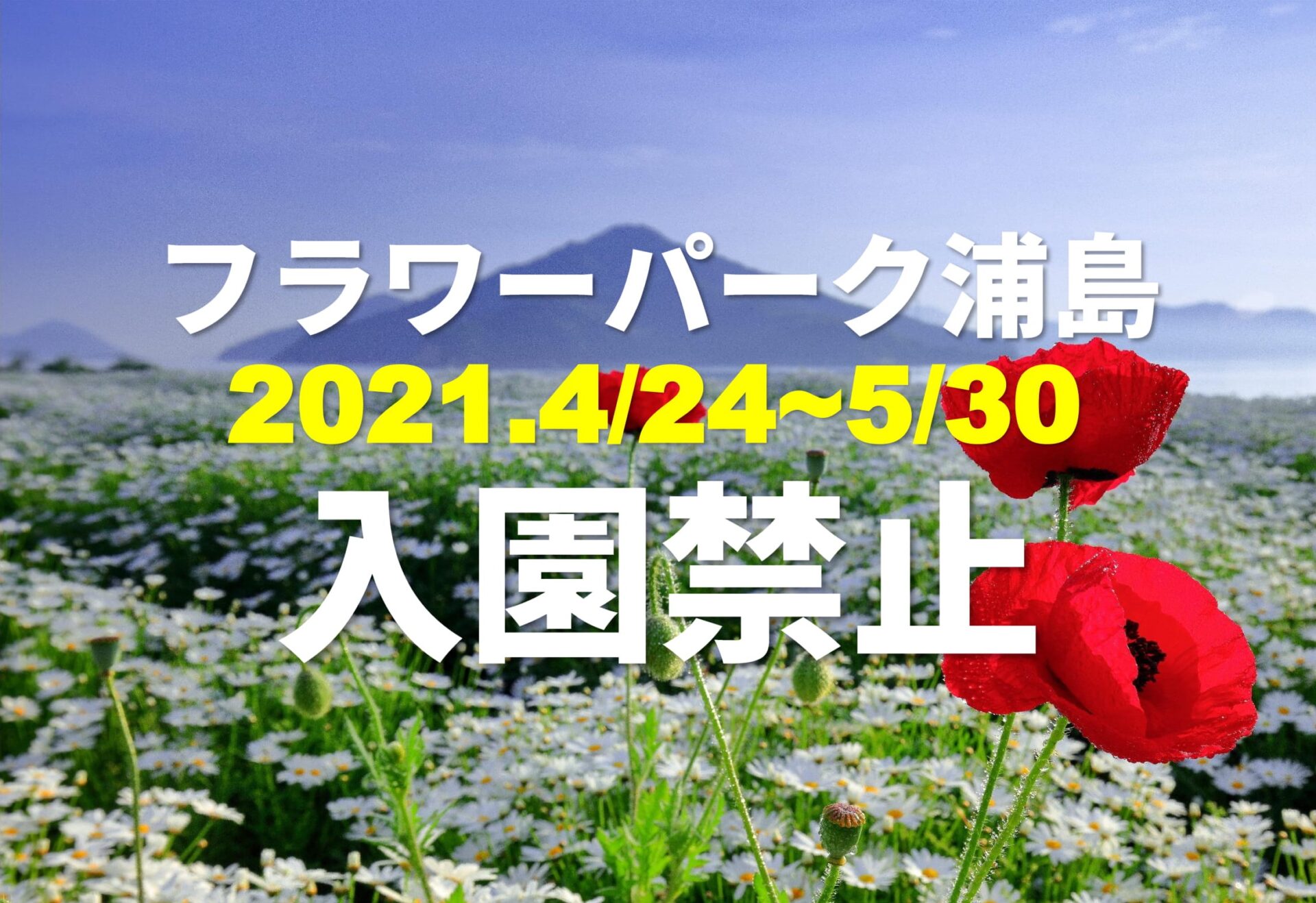 フラワーパーク浦島 三豊市観光交流局 フラワーパーク浦島 三豊市観光交流局