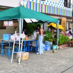 DSC_0386 (1)