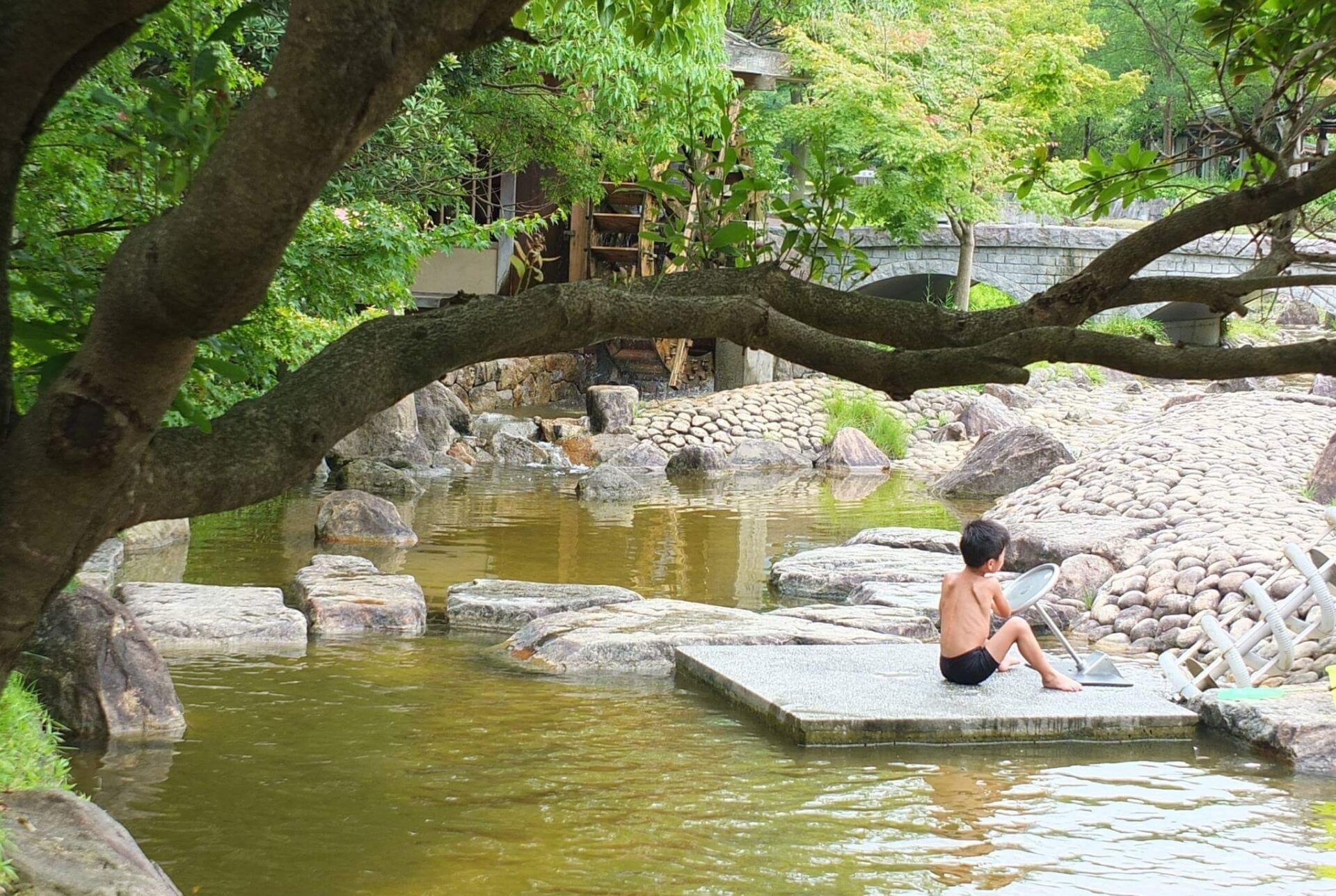 水辺の納涼祭