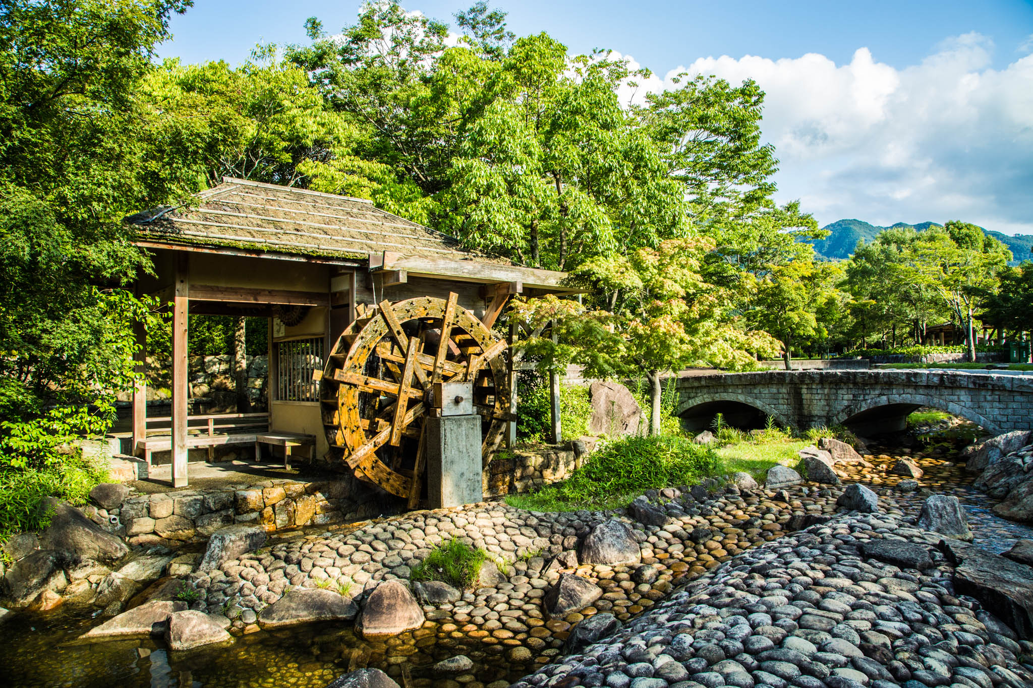 水辺の納涼祭